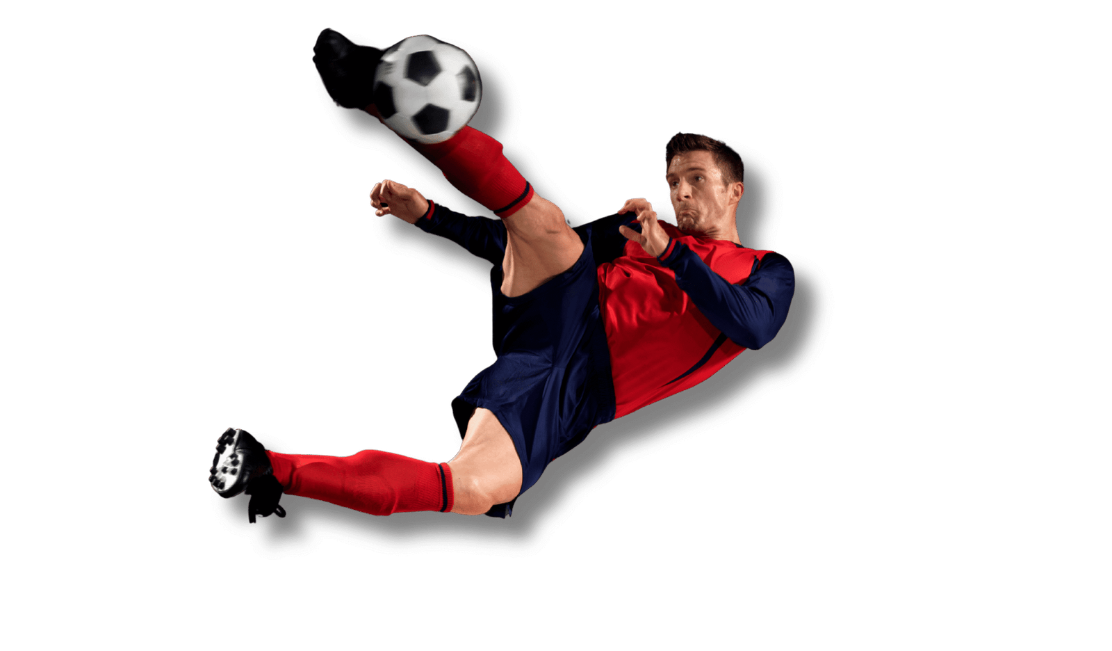 Pink Yellow and Red Festive saree Banner Landscape (3)